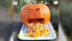 Cosa fare nel weekend nell’Ovest Milanese: Halloween, jazz, fiere e sport