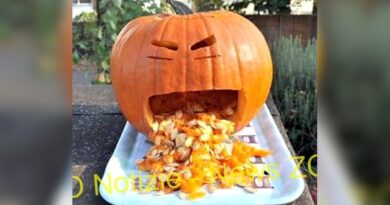 Cosa fare nel weekend nell’Ovest Milanese: Halloween, jazz, fiere e sport