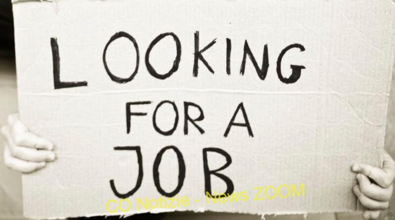 disoccupazione. Disoccupazione. La precarietà è la mia vita - 12/02/2013