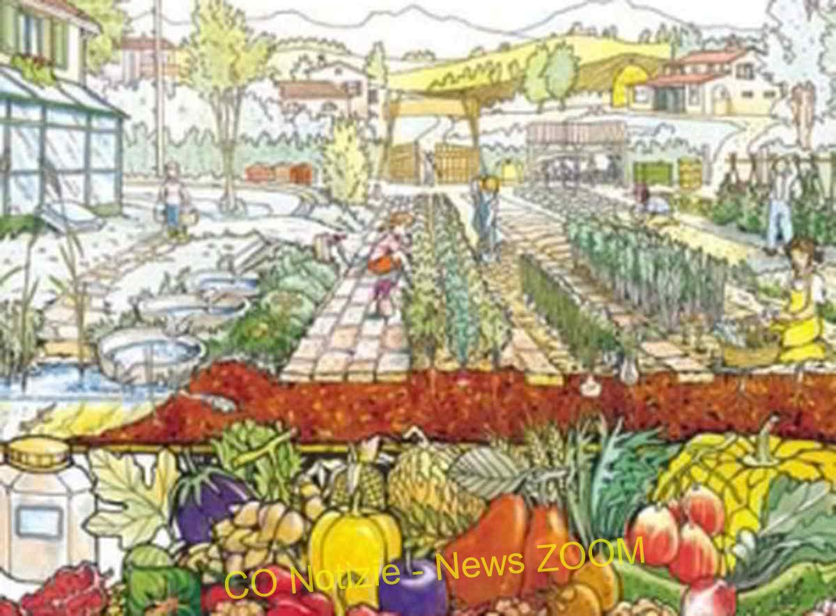 Corbetta, sala grassi: coltivare l'orto per vivere meglio
