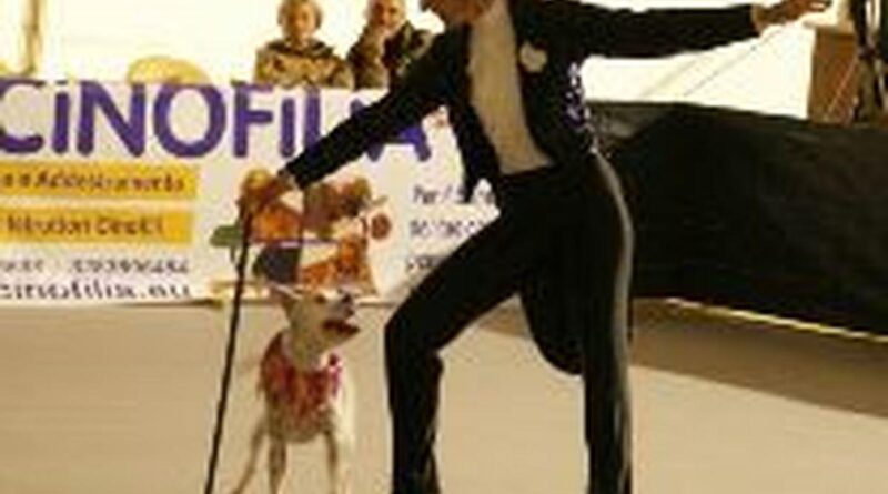 Ossona, prima gara internazionale di dog dance