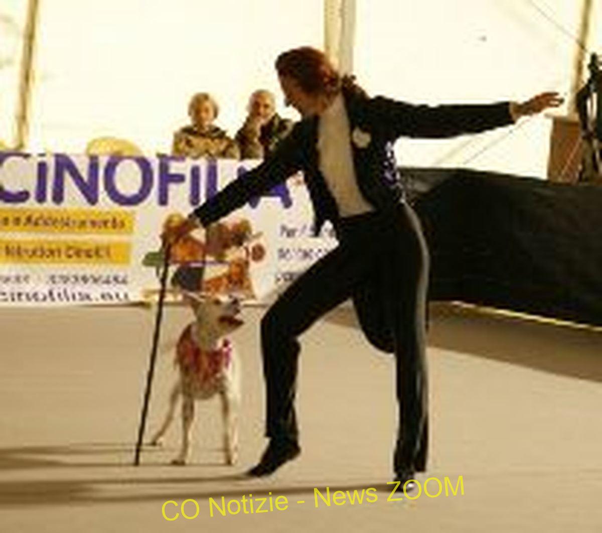 Ossona, prima gara internazionale di dog dance