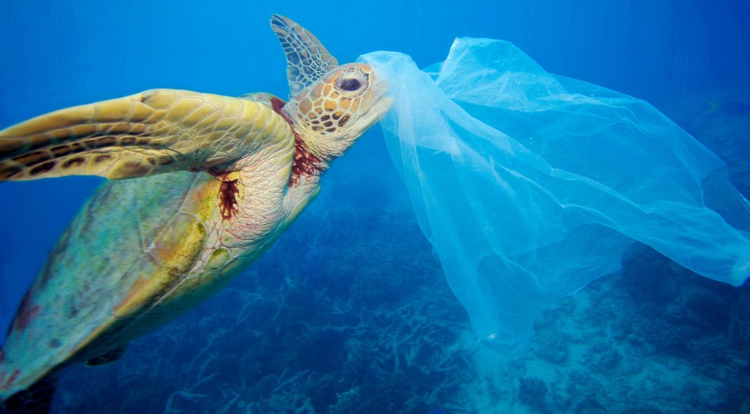 . Giornata Mondiale dell’Ambiente guerra alla plastica! - 05/06/2018
