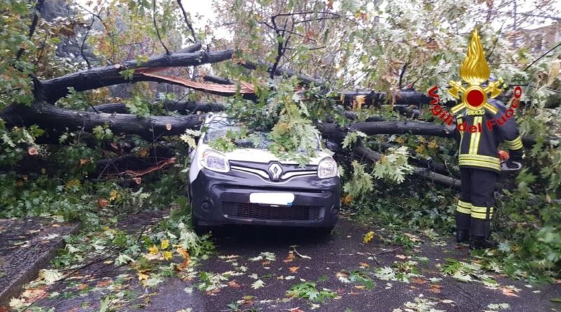 incidente a Lazzate. Milano. Meteo codice rosso. Cadono alberi. Diversi i feriti - 29/10/2018