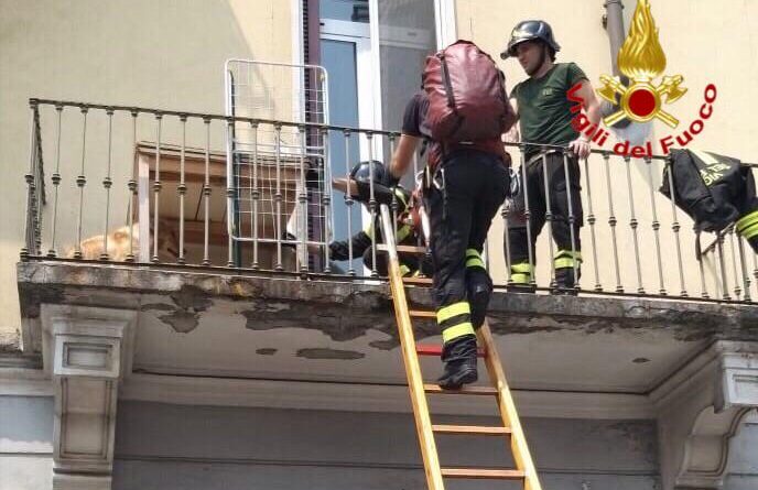 . I vigili del fuoco salvano un Golden Retriver lasciato su un balcone - 23/07/2019