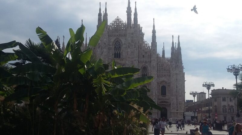 . Aperto il bando per la manutenzione del verde pubblico. Si parla delle palmette e dei banani di Piazza Duomo - 19/08/2019