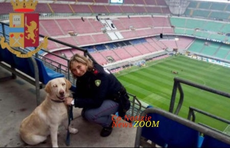 labrador Ruby, controlli di polizia allo stadio Meazza di san Siro