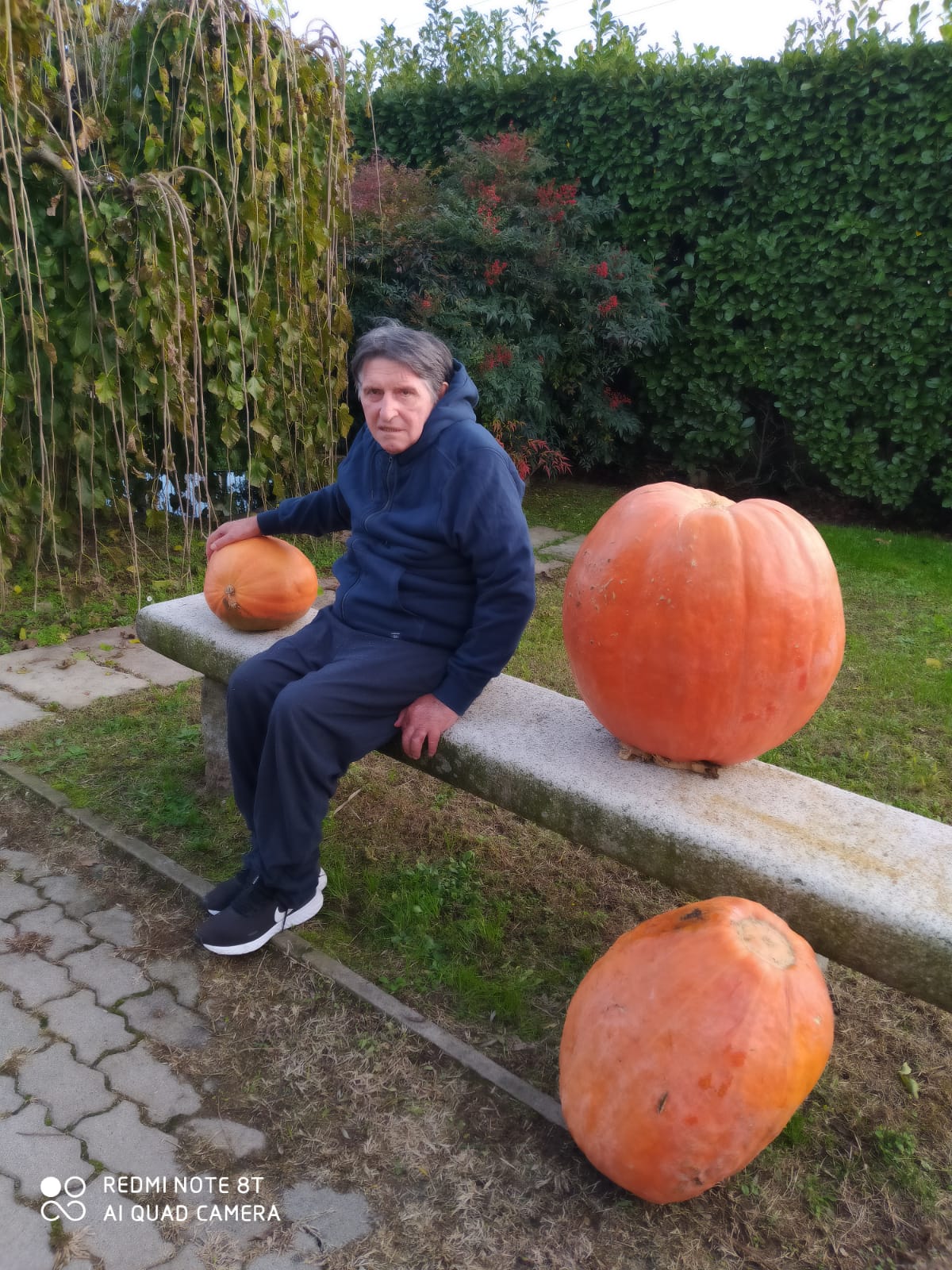 . Le zucche giganti di "Nonno Aristide". A Soriano di Corbetta - 29/10/2020