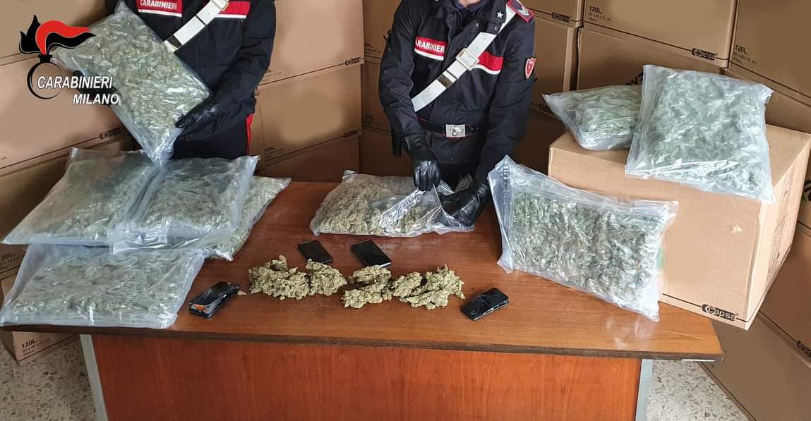 Cronaca Lombardia. I carabinieri di Sesto San Giovanni sequestrano 276 kg di marijuana a Misinto (Monza e Brianza) - 17/11/2020