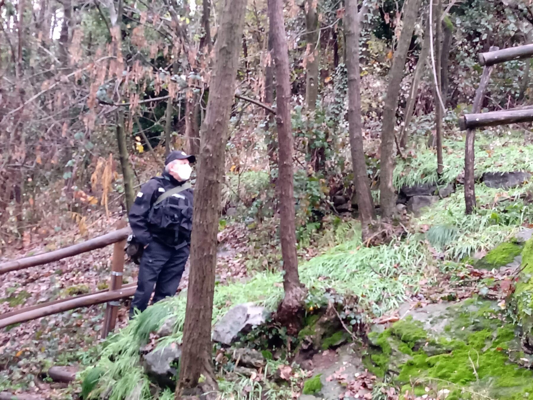 spina verde. La Guardia Nazionale tra i boschi di Spina Verde (Como) - 17/12/2020