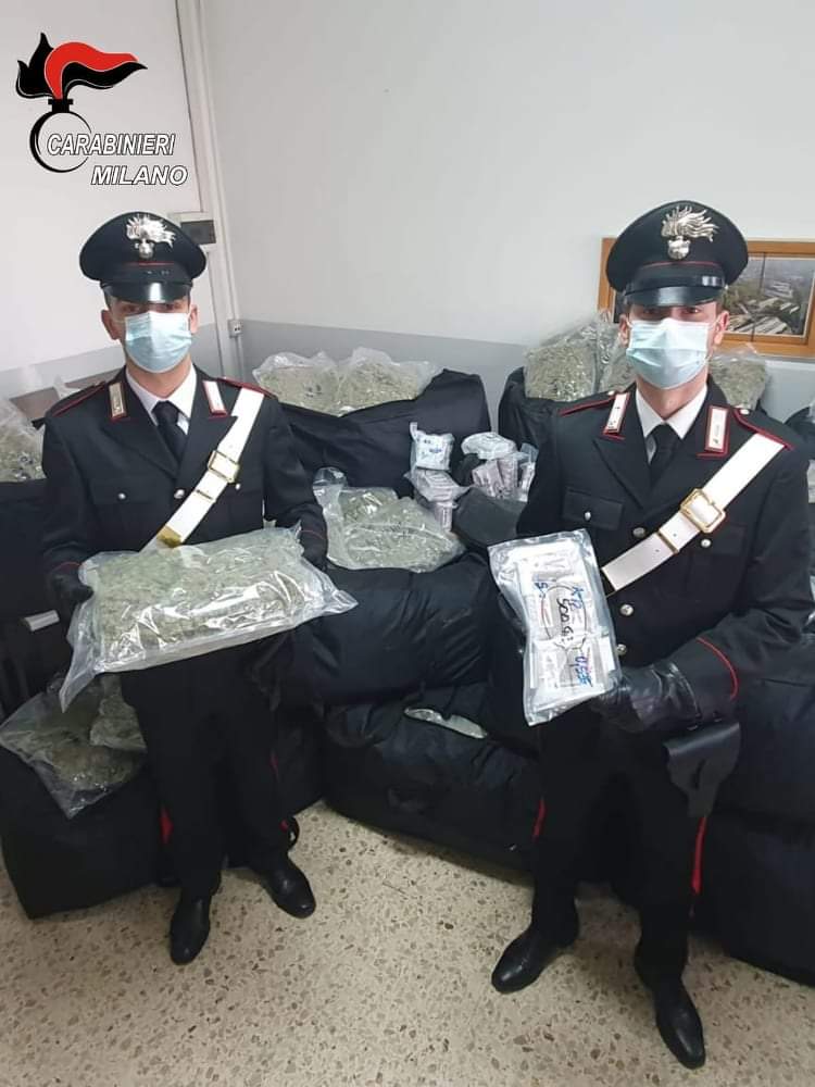 . Cinisello Balsamo. Sequestrati 220 kg di marijuana e hashish. Un arresto - 14/09/2021