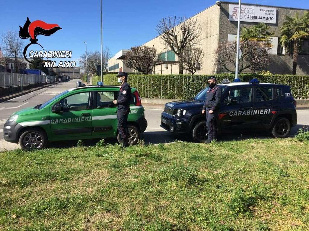 I carabinieri assistono 5 gabbiani feriti. Trezzo sull’Adda