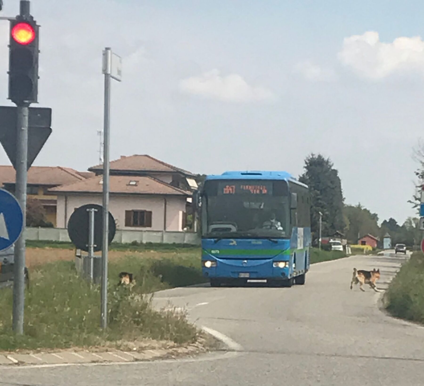 . Rubano estintori per danneggiare i bus: 8 minori fermati a Milano - 16/06/2021