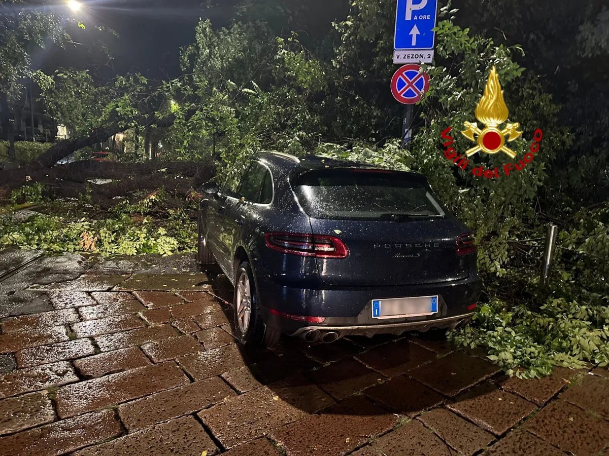 temporali,milano. Temporali a Milano, ancora alberi caduti in città e in provincia, eppure... - 15/09/2023