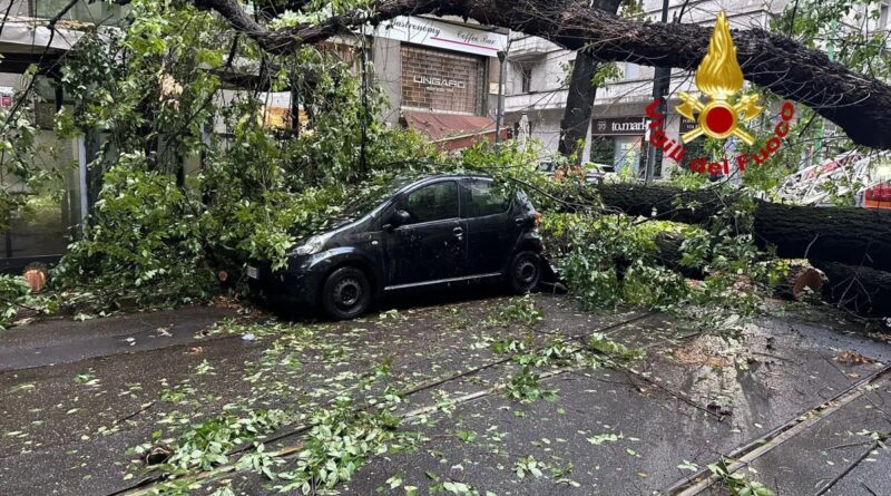 temporali,milano. Temporali a Milano, ancora alberi caduti in città e in provincia, eppure... - 15/09/2023