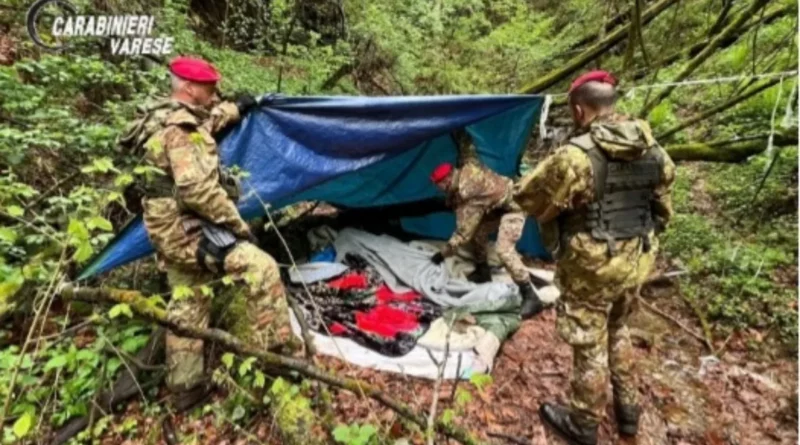 . Cislago: Carabinieri nei boschi contro lo spaccio, 2 arresti - 28/02/2024