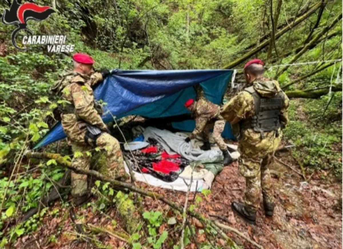 Cislago: Carabinieri nei boschi contro lo spaccio, 2 arresti