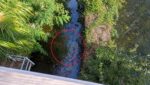 Naviglio Grande inquinato dal gasolio, vietata la pesca: chiuse le paratie agricole