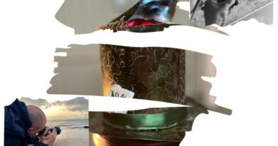 Casorezzo, la mostra Sfumature di Clover Art in Comune dal 28 settembre