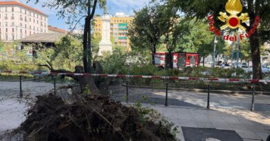 Milano, grosso ramo crolla in piazza Risorgimento: tre feriti, più grave un 41enne