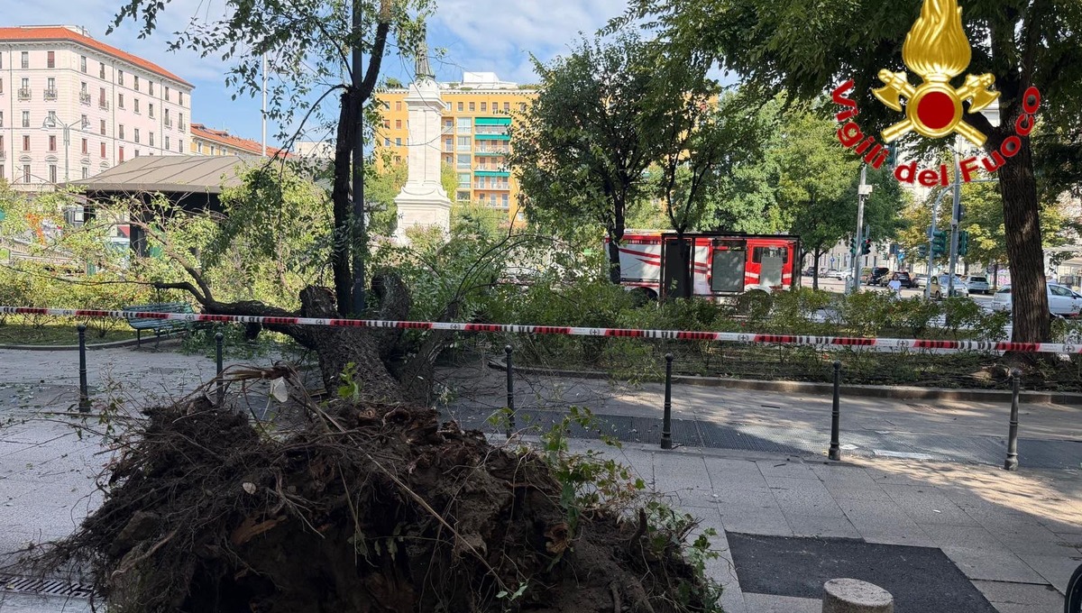 ramo,crollo,milano. Milano, grosso ramo crolla in piazza Risorgimento: tre feriti, più grave un 41enne - 14/09/2026