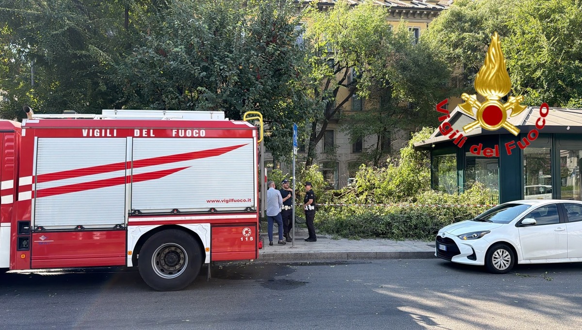 ramo,crollo,milano. Milano, grosso ramo crolla in piazza Risorgimento: tre feriti, più grave un 41enne - 14/09/2026