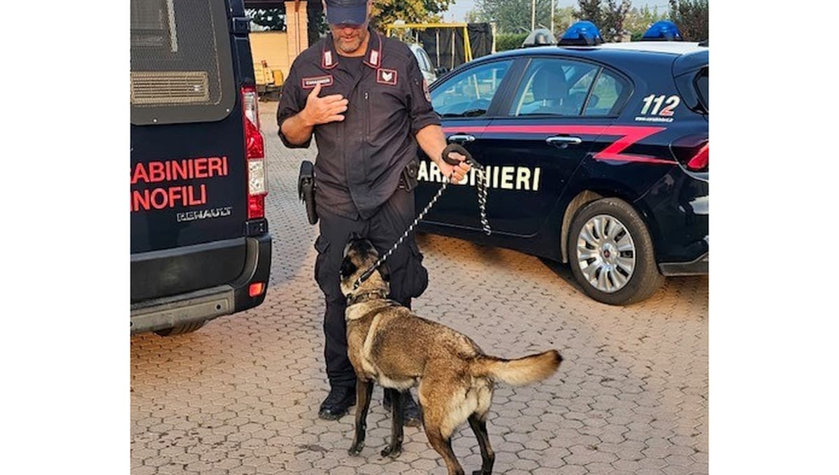 Mantova,Castel Goffredo,operazione antidroga. Mantova, Castel Goffredo, operazione antidroga: otto perquisizioni e un arresto - 18/10/2026